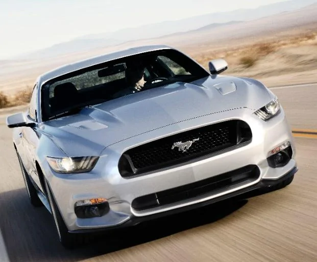 stanggrille.webp