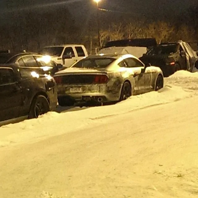 2015mustangparkinglot.webp