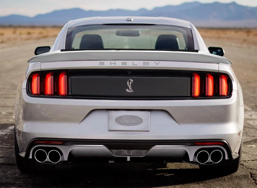 shelby1.webp