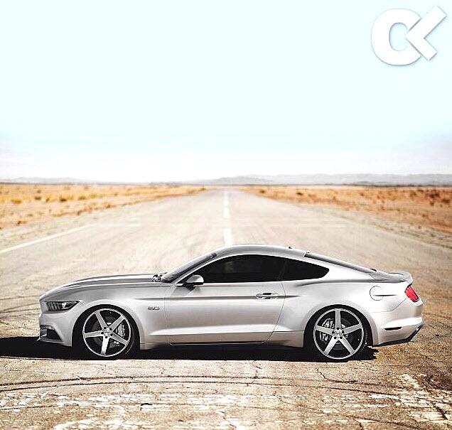 mustangs550.jpg