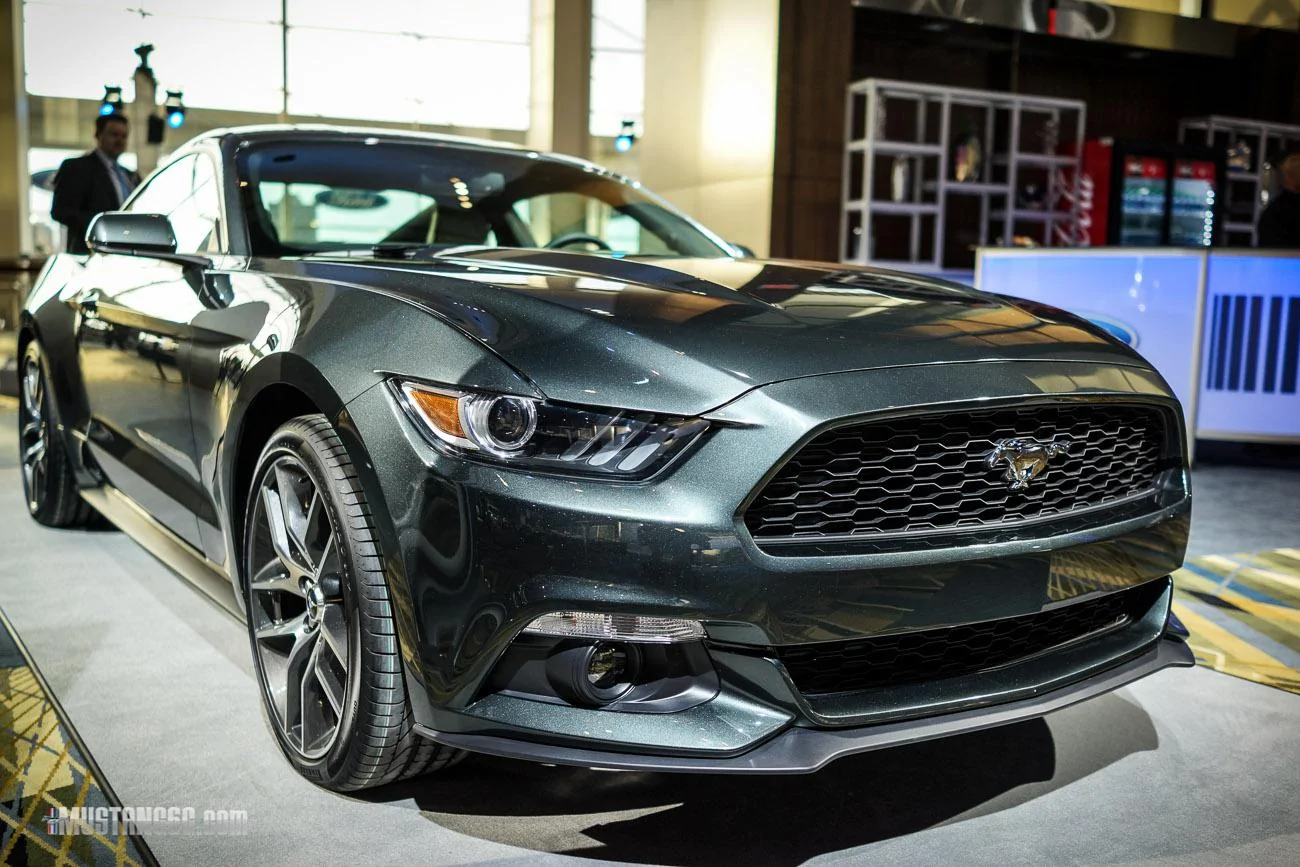 mustang-2-8.webp