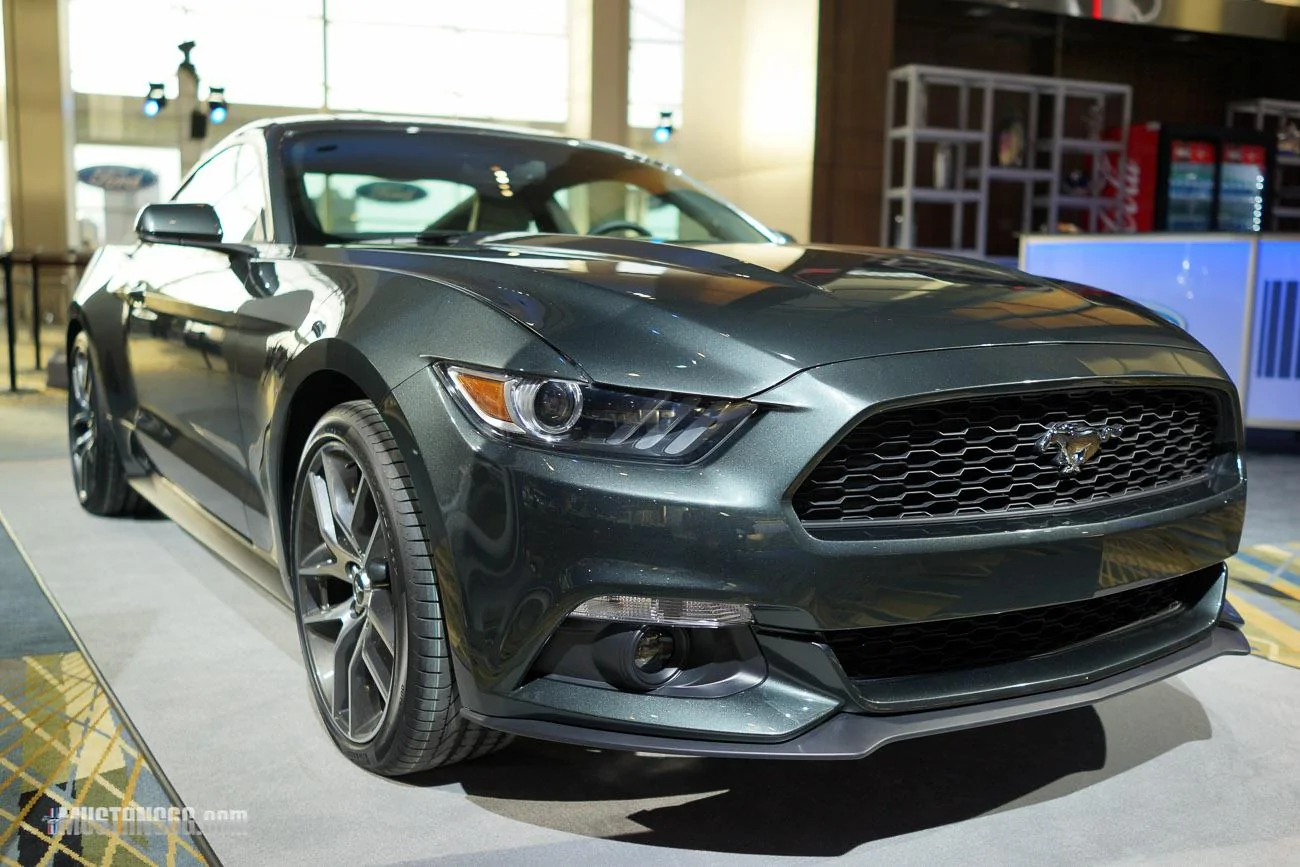 mustang-2-9.webp
