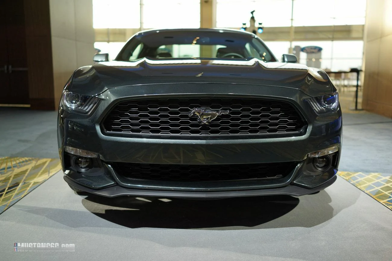 mustang-2-10.webp