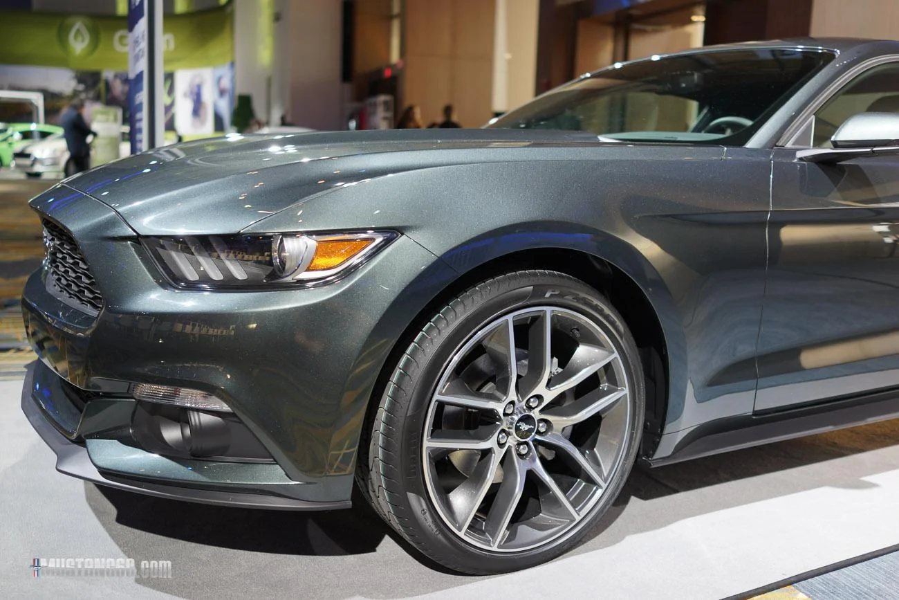 mustang-2-11.webp