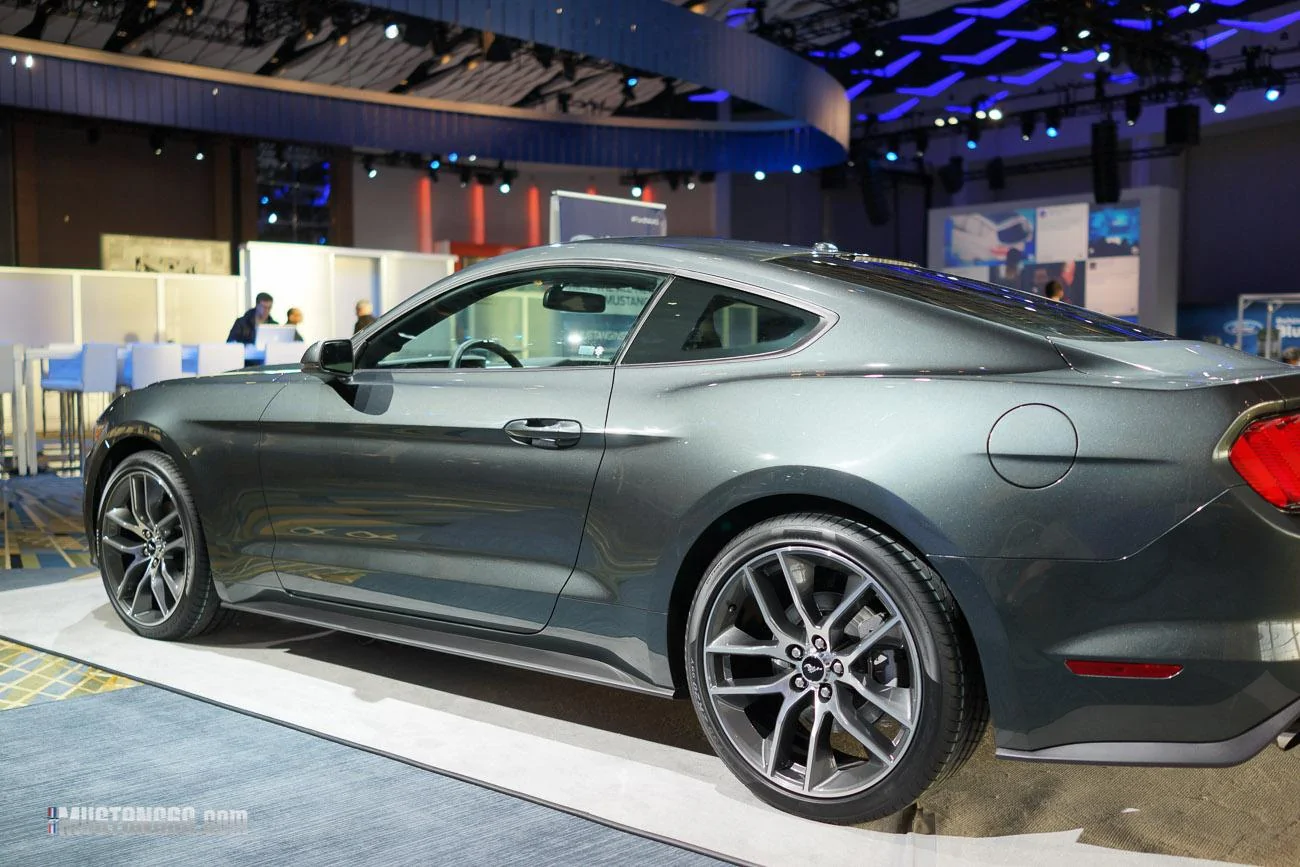 mustang-2-12.webp