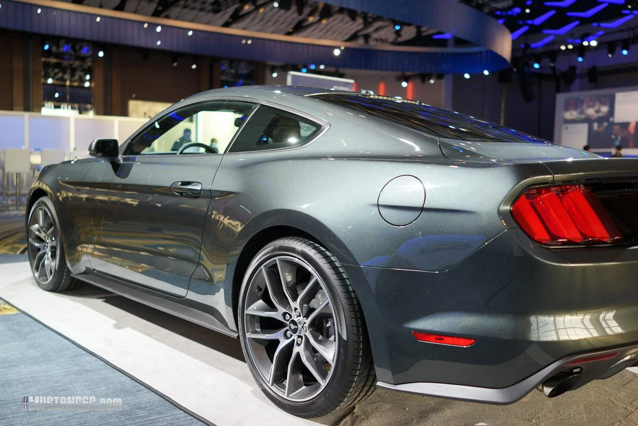 mustang-2-13.webp