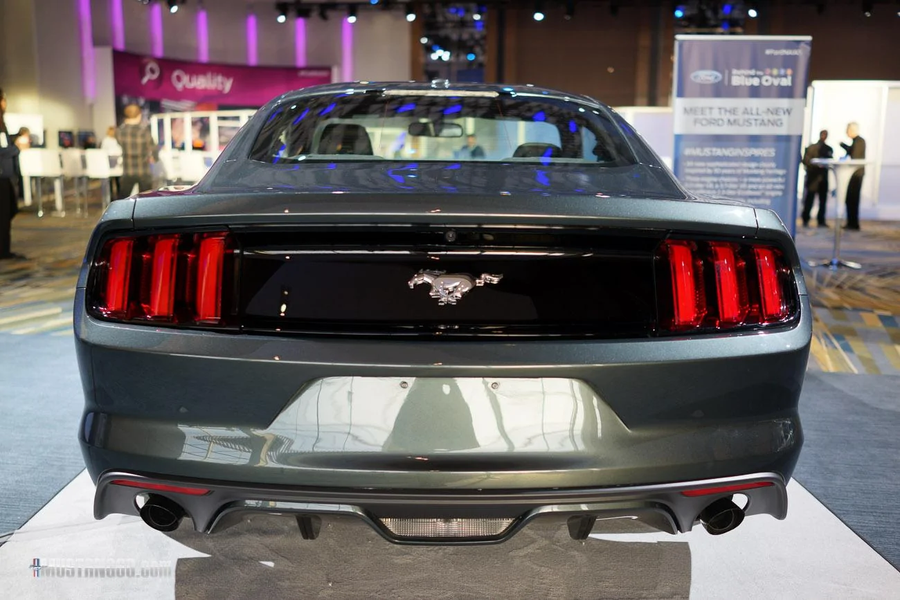 mustang-2-14.webp