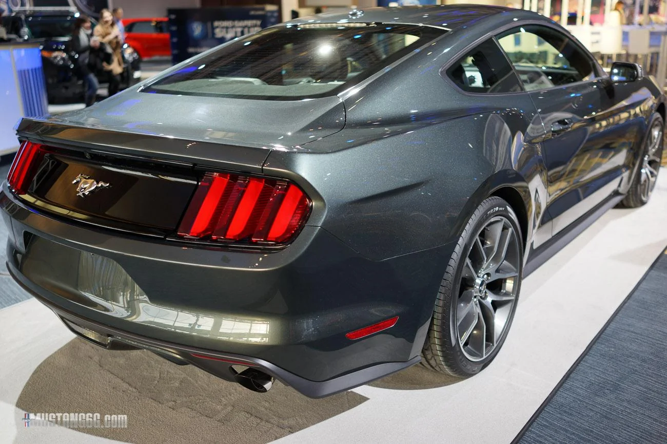 mustang-2-15.webp
