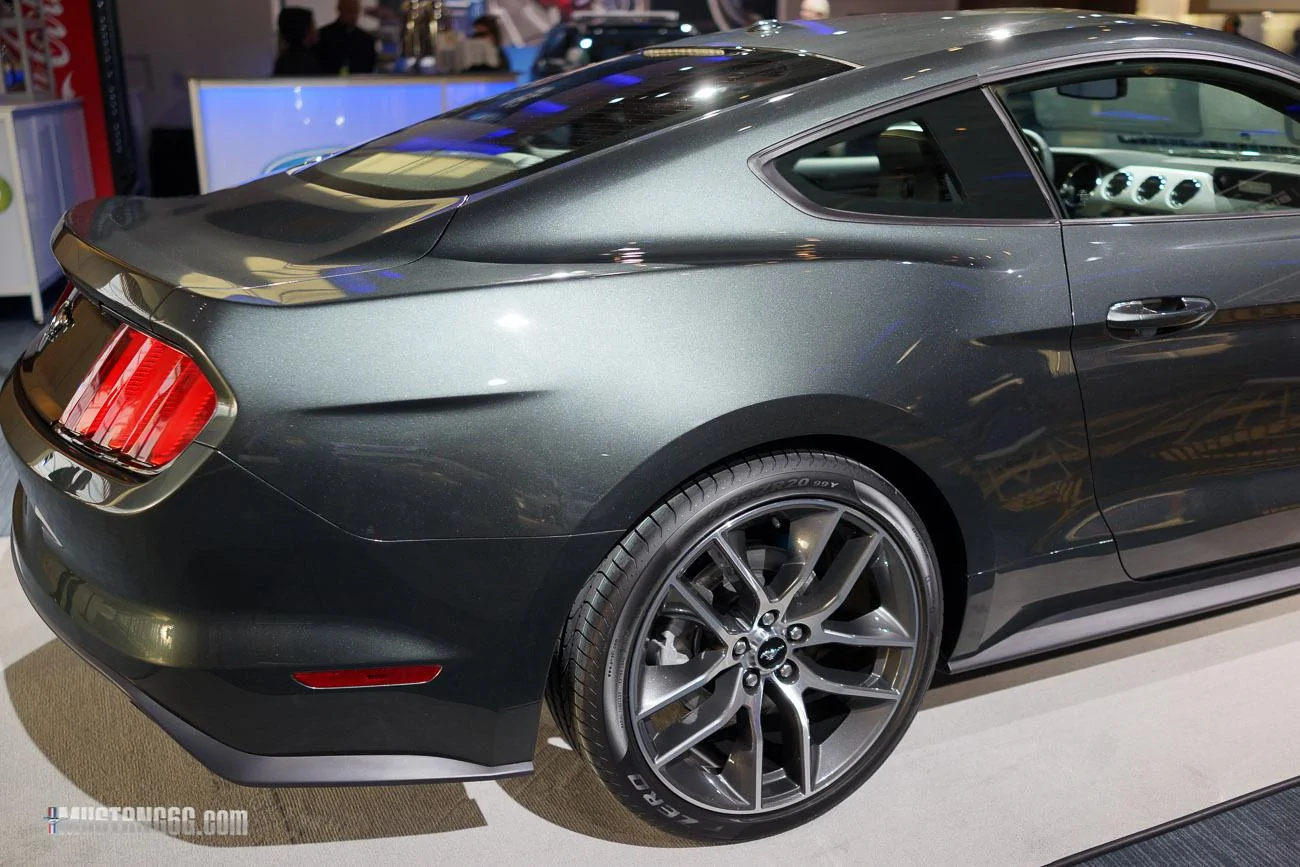 mustang-2-16.webp