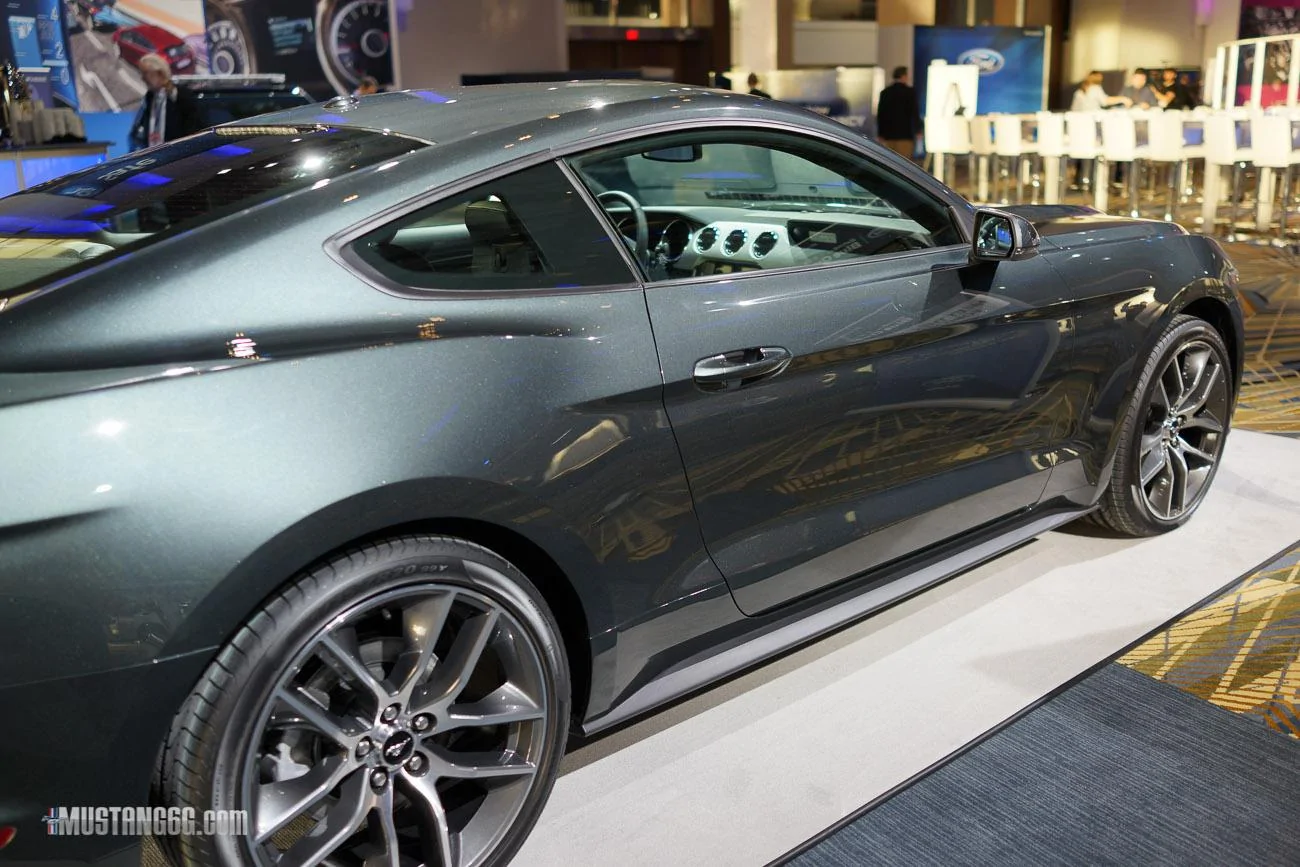 mustang-2-17.webp