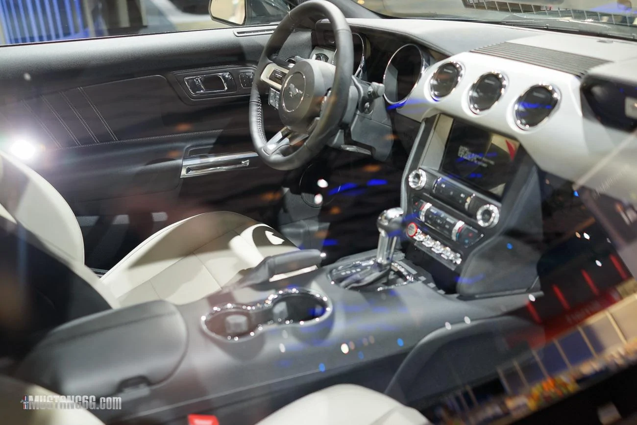 mustang-2-18.webp