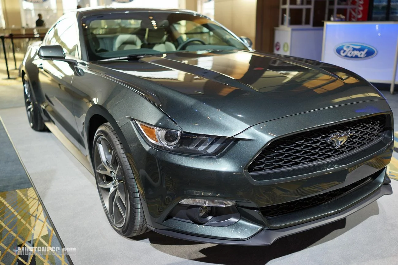 mustang-2-20.webp