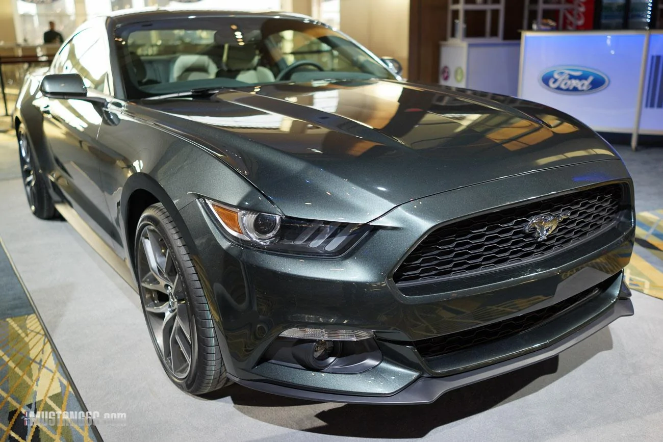 mustang-2-21.webp