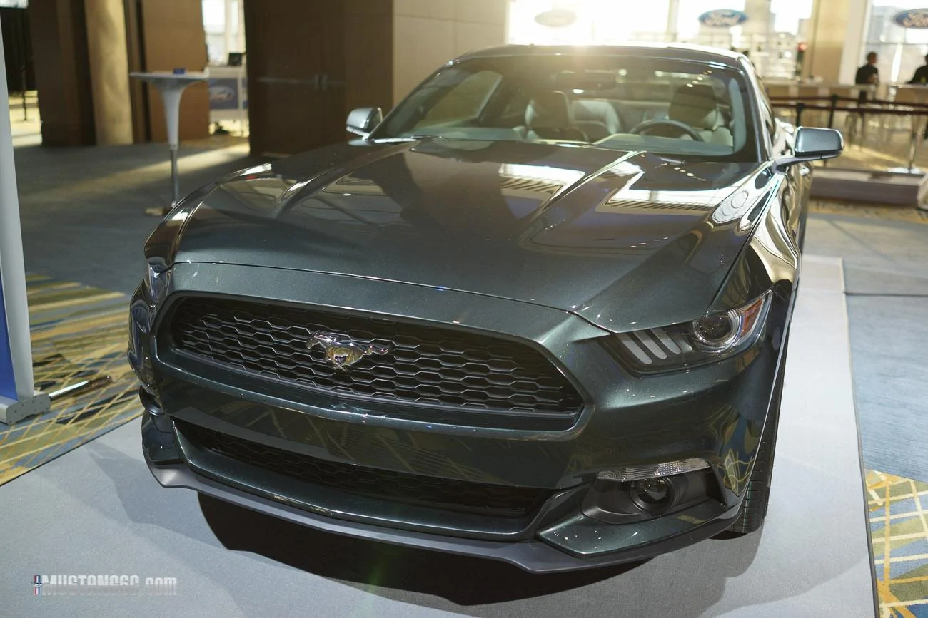 mustang-2-22.webp