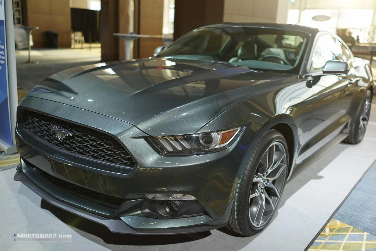 mustang-2-23.webp