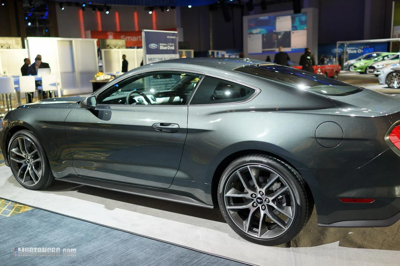 mustang-2-24.webp