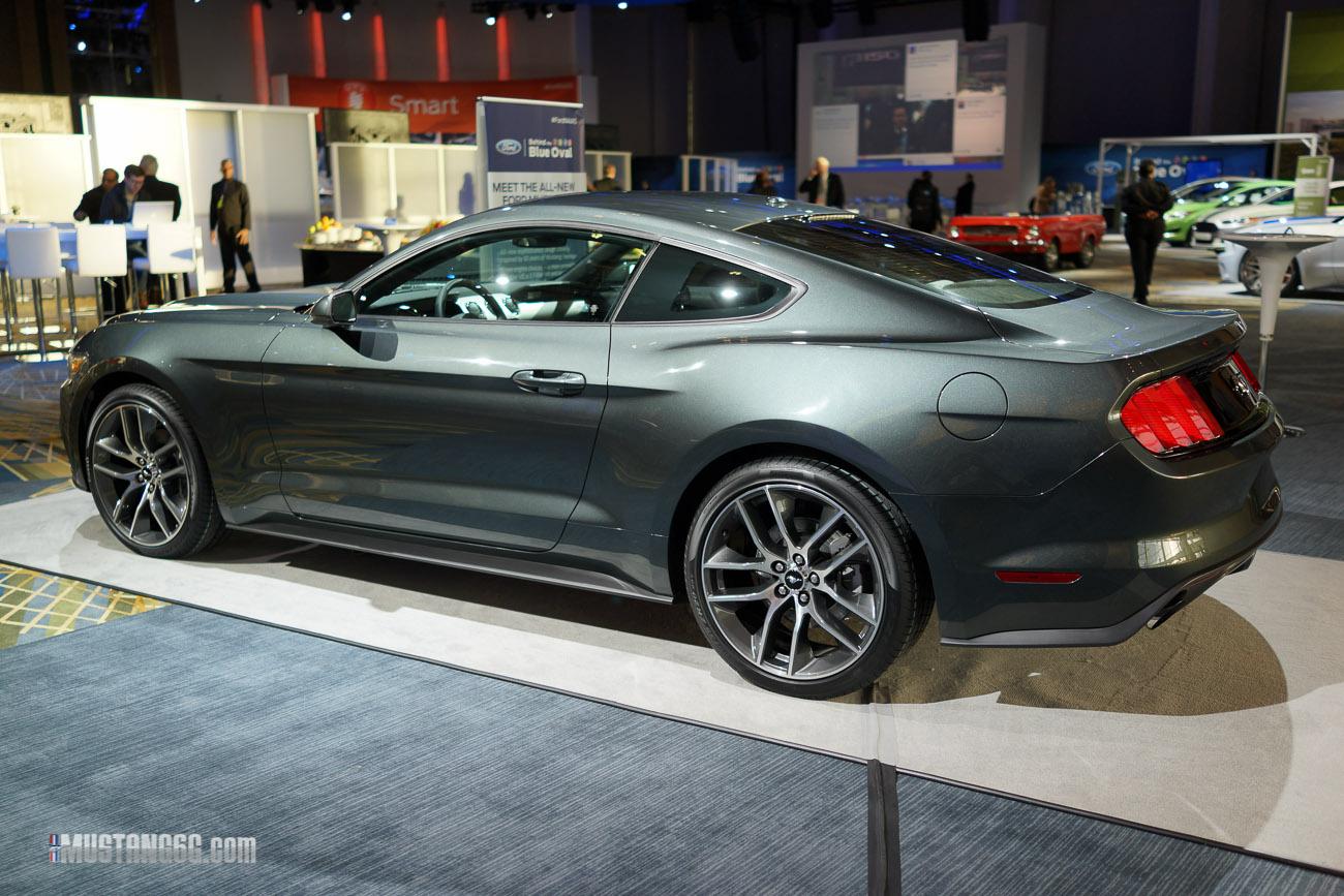 mustang-2-25.jpg