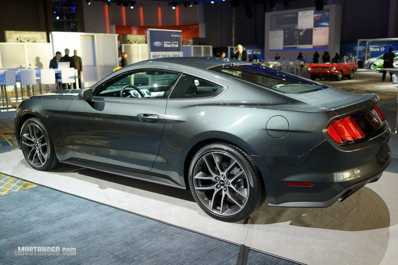 mustang-2-26.webp