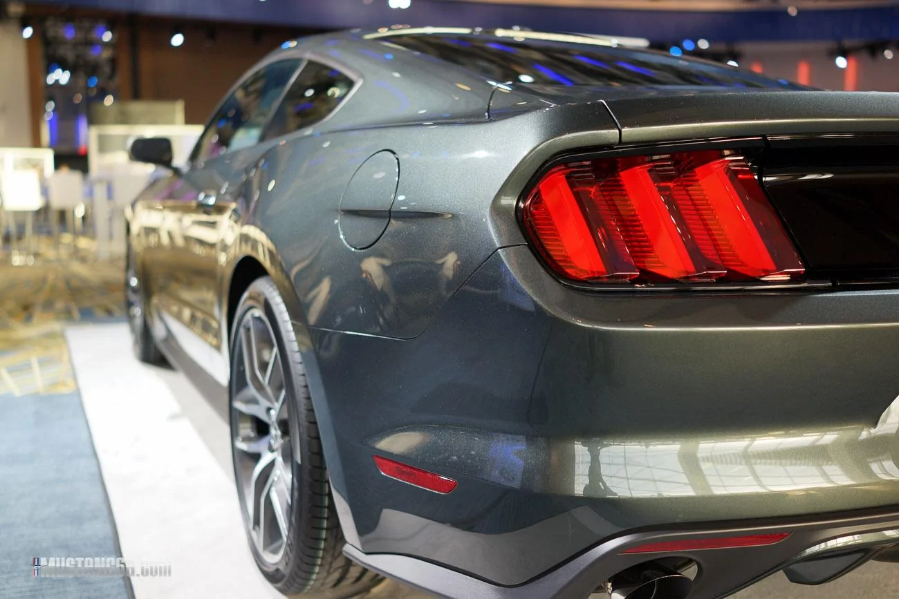 mustang-2-27.webp
