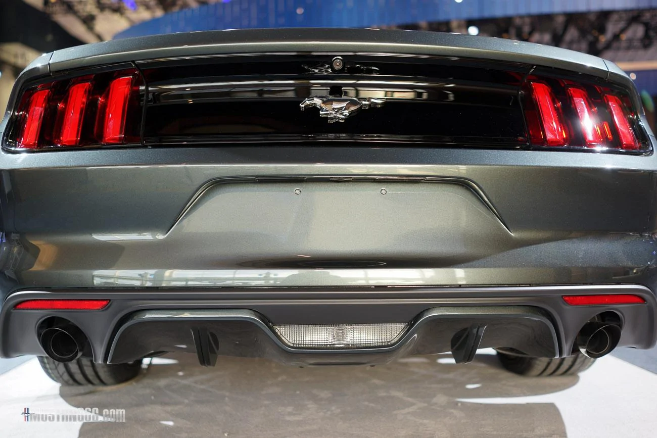 mustang-2-28.webp
