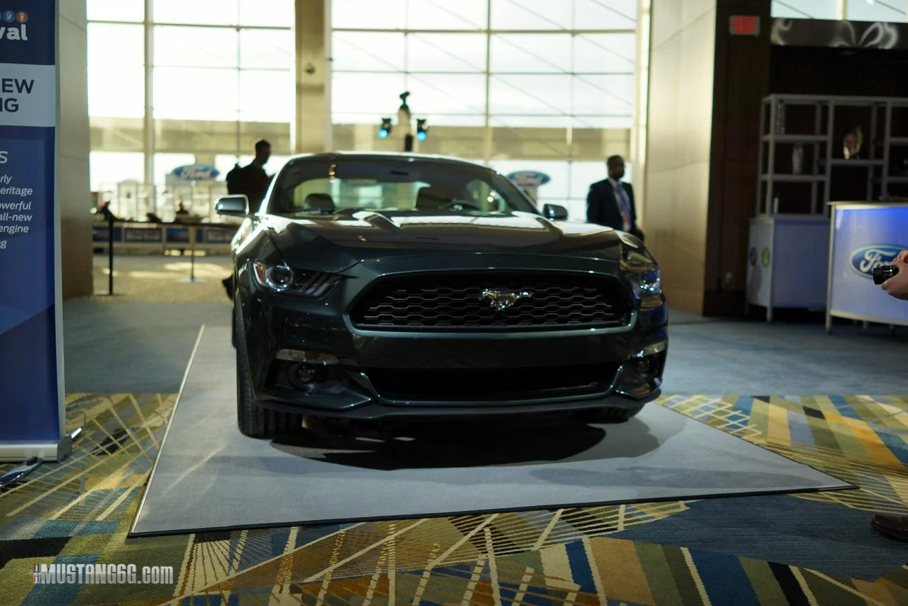mustang-2-47.webp