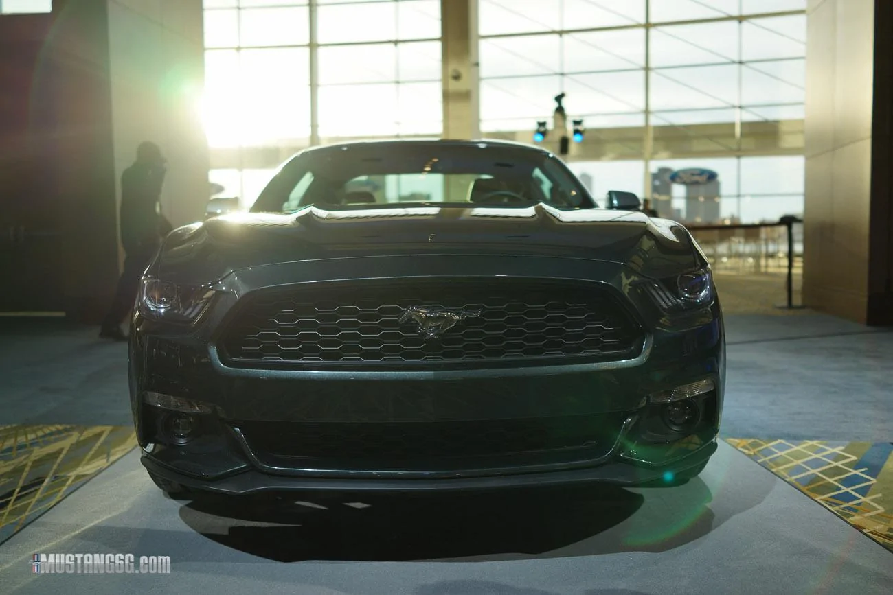 mustang-2-48.webp