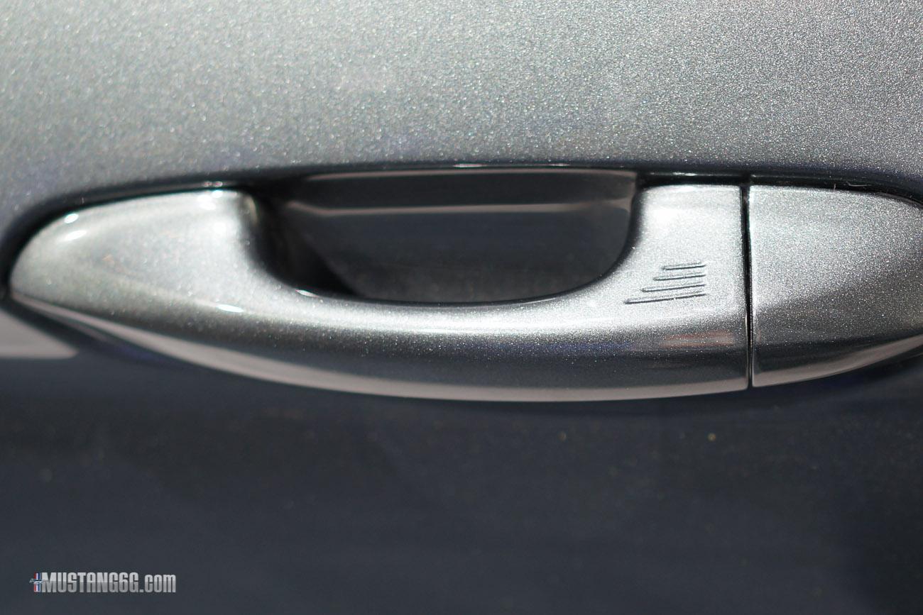 2015 mustang guard-4.jpg