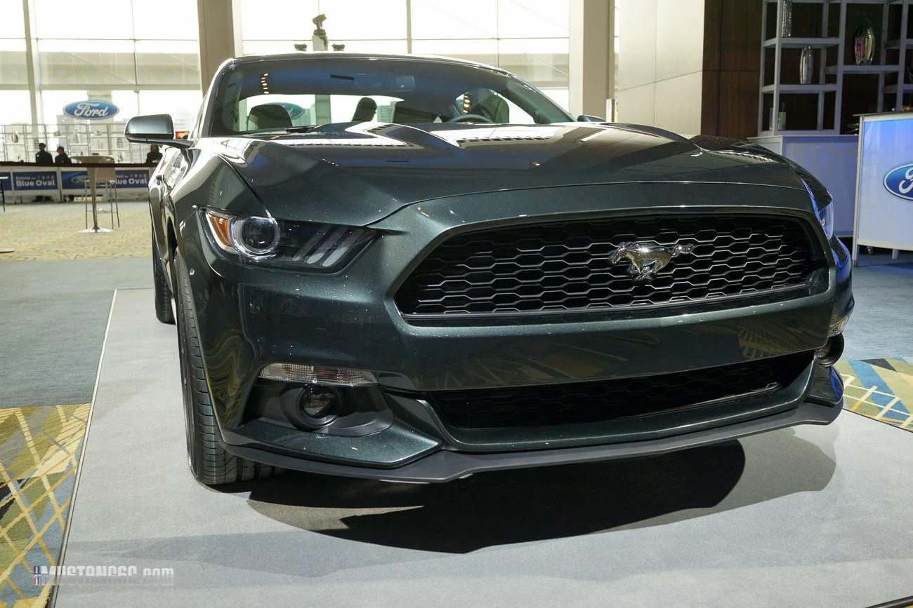 2015 mustang guard.webp