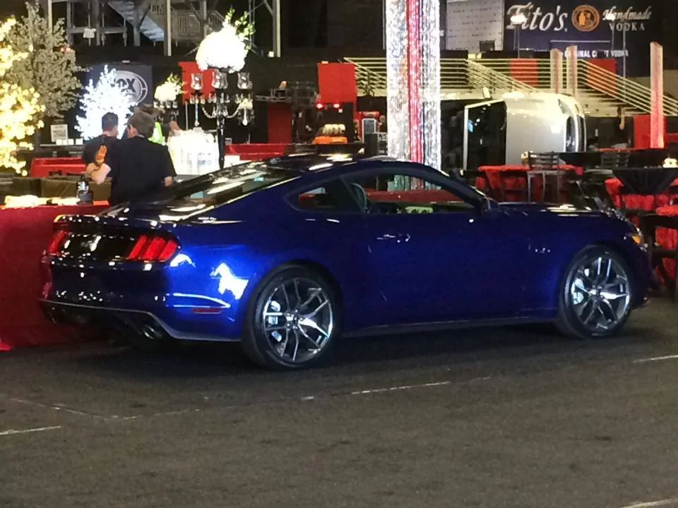bluestang.webp