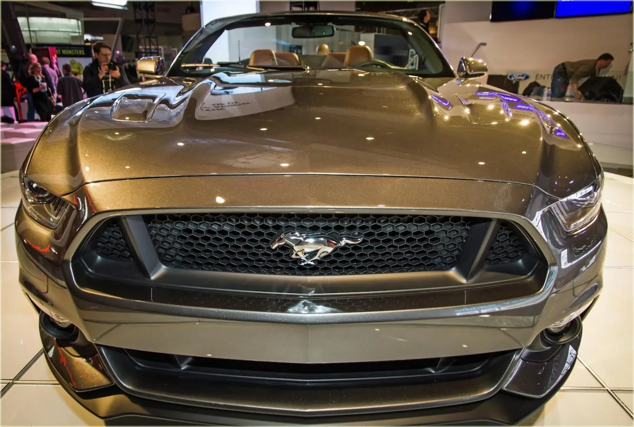 Magnetic Mustang-2.webp