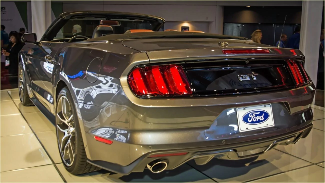 Magnetic Mustang-3.webp