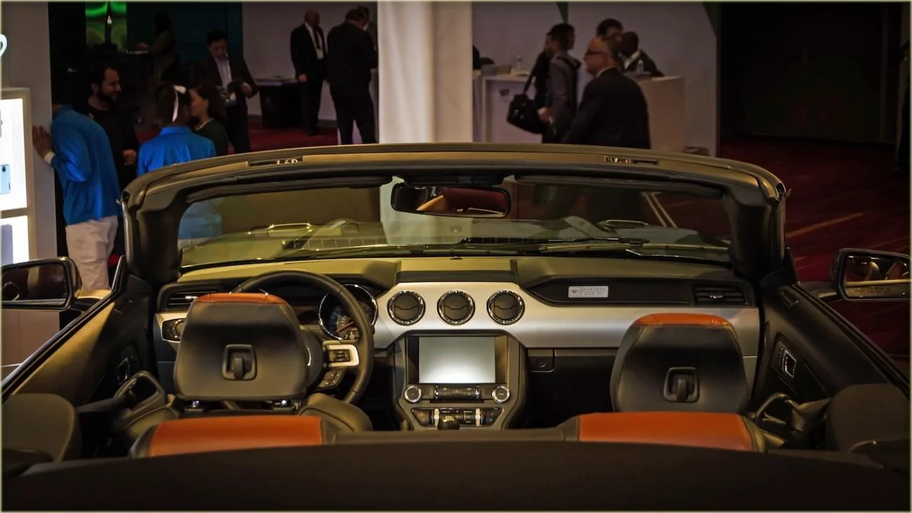 Magnetic Mustang-4.webp