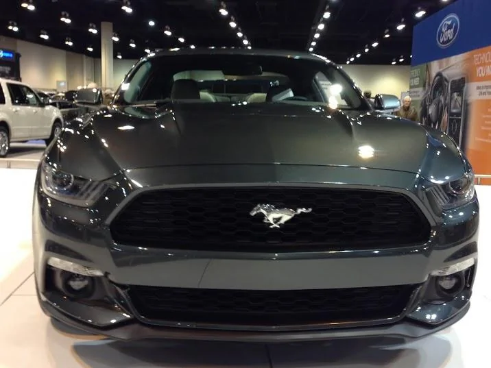 mustang-guard1.webp