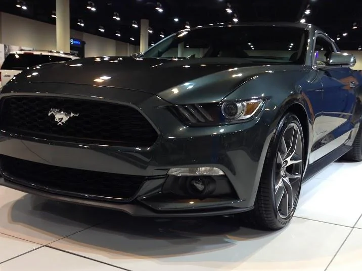 mustang-guard2.webp