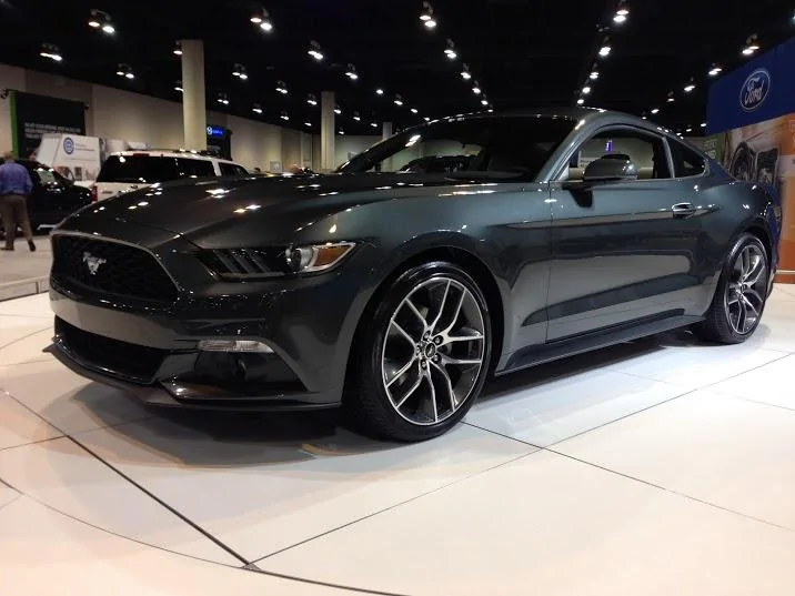 mustang-guard3.webp