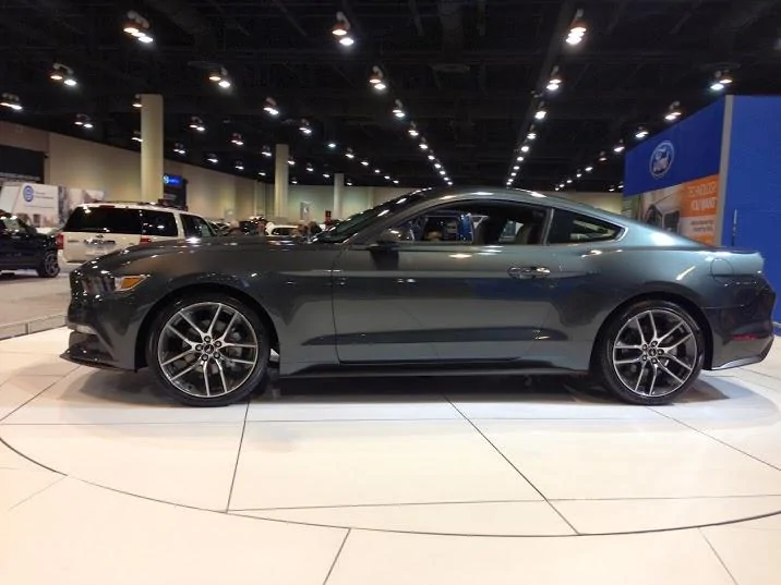 mustang-guard4.webp