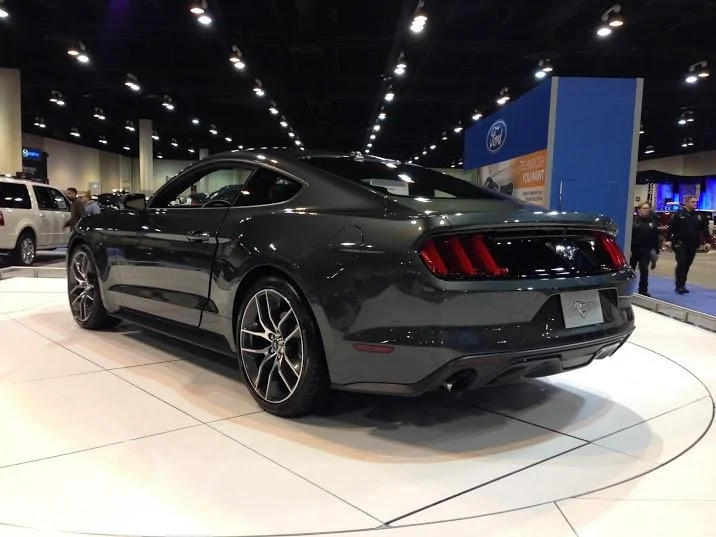 mustang-guard5.webp