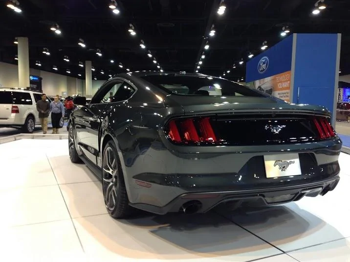 mustang-guard6.webp