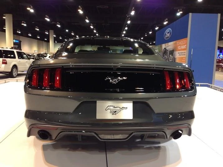 mustang-guard7.webp