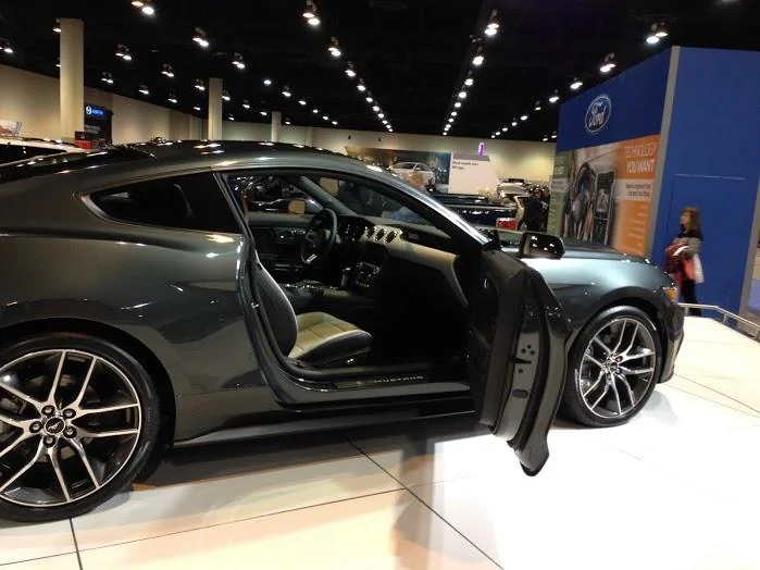 mustang-guard10.webp