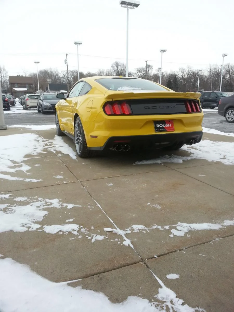 20150216_150818 (Large).webp