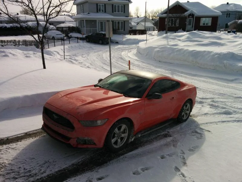 IMG_20150116_123331.webp