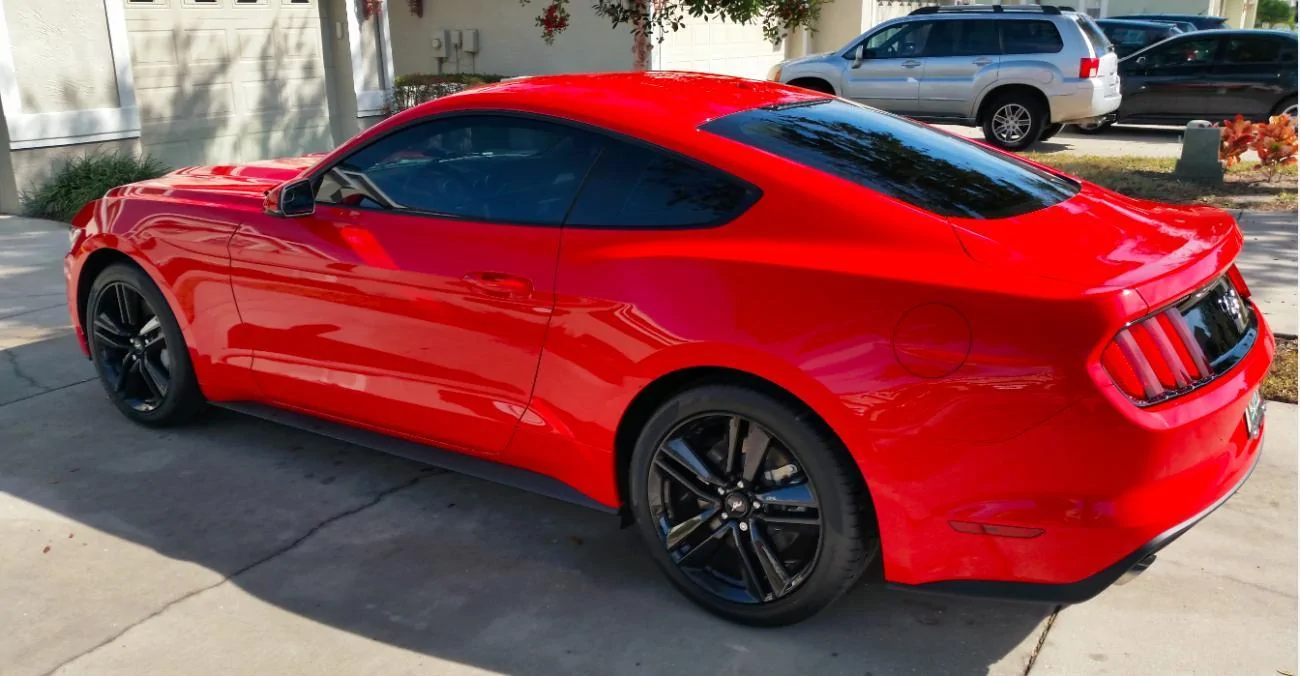 Mustang1.webp