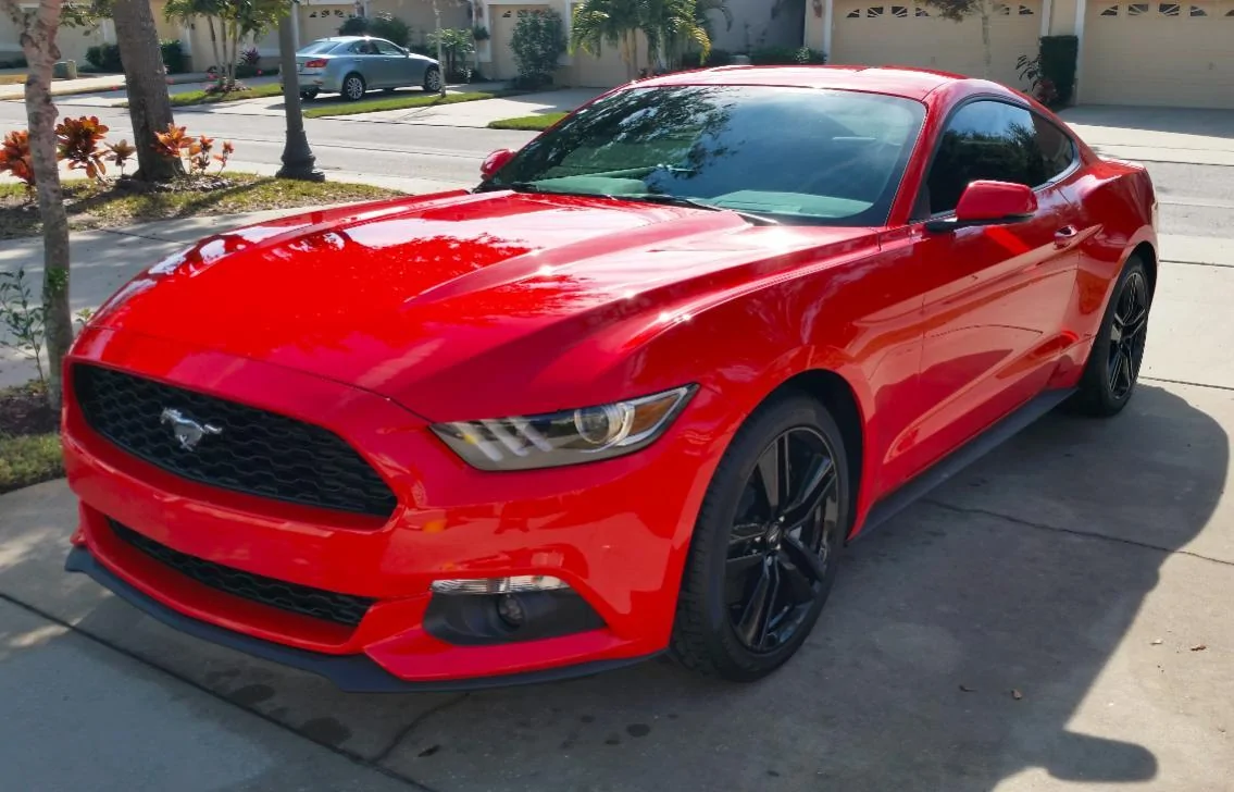 Mustang2.webp