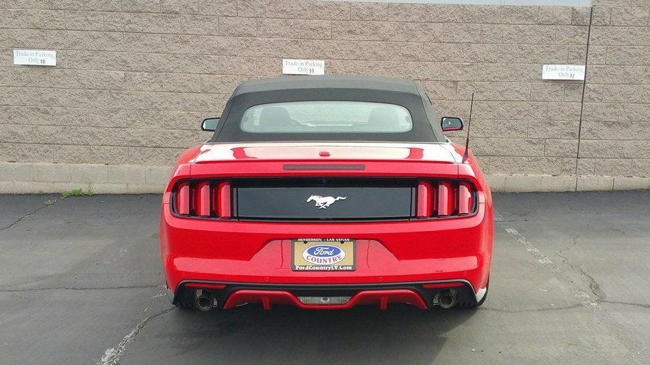 rear.jpg