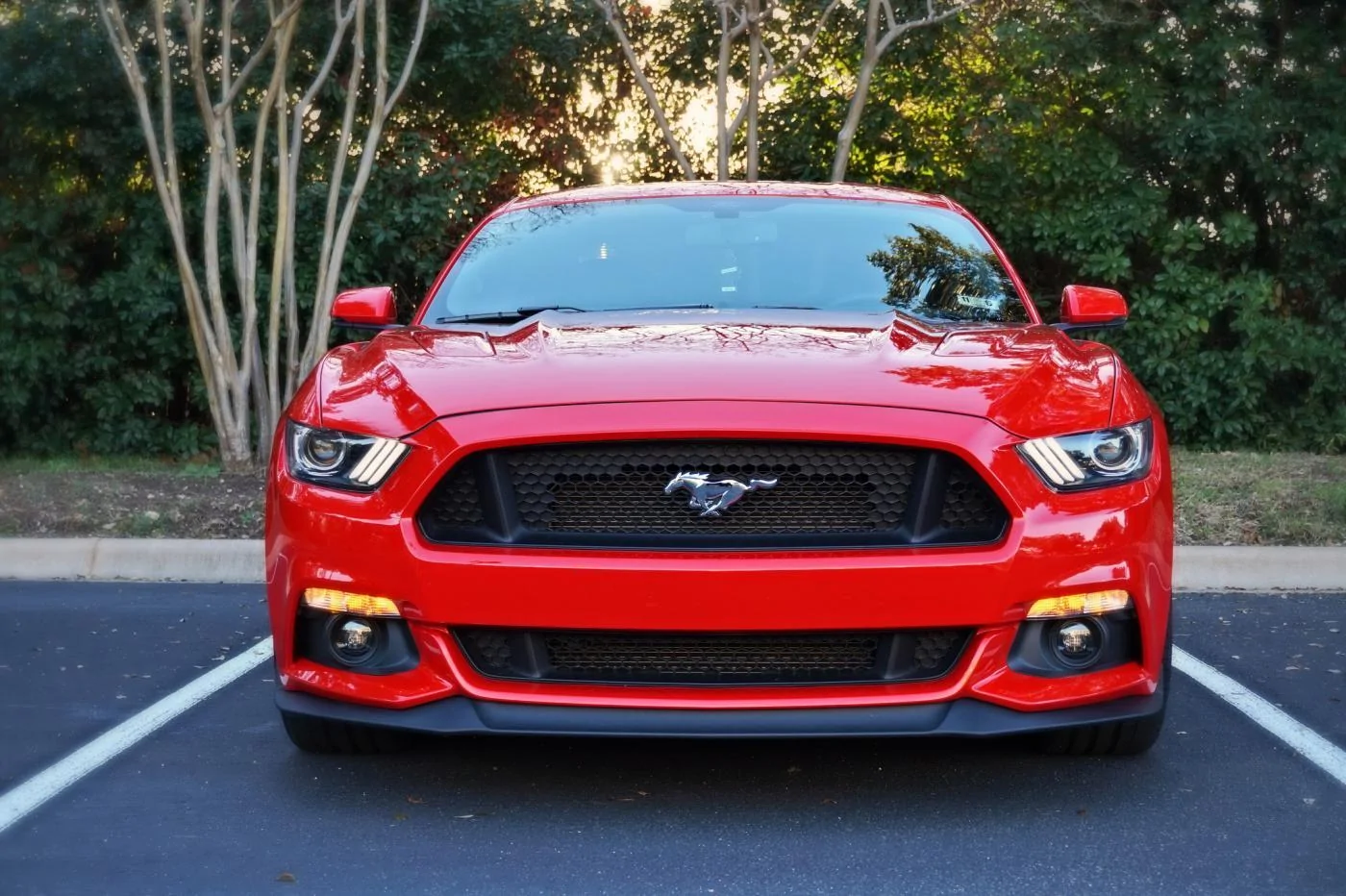16198250369_e374278fb5_k.webp