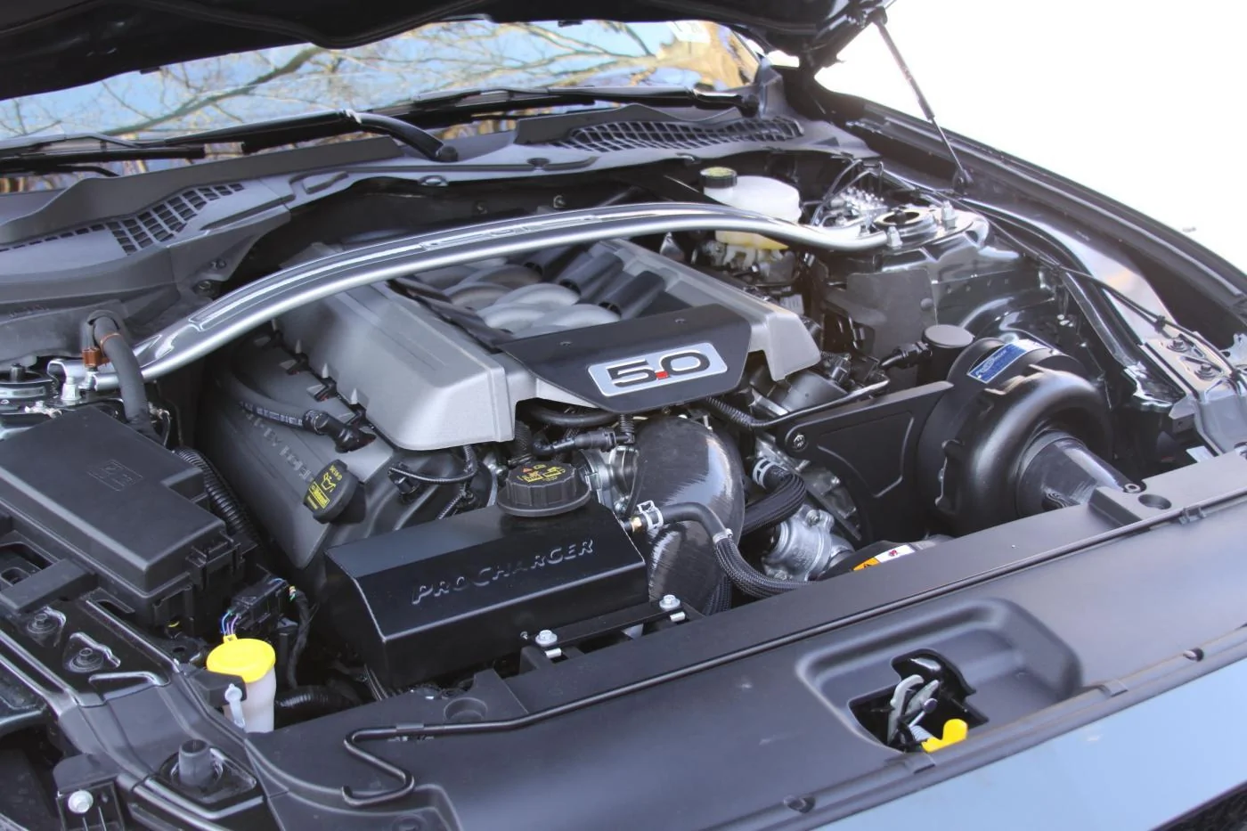 pc1.webp