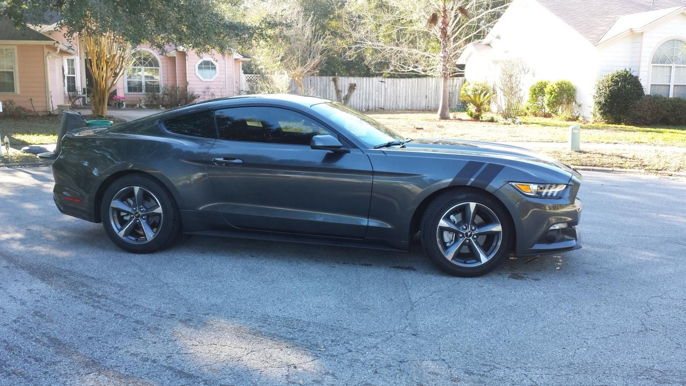 Mustang13.jpg