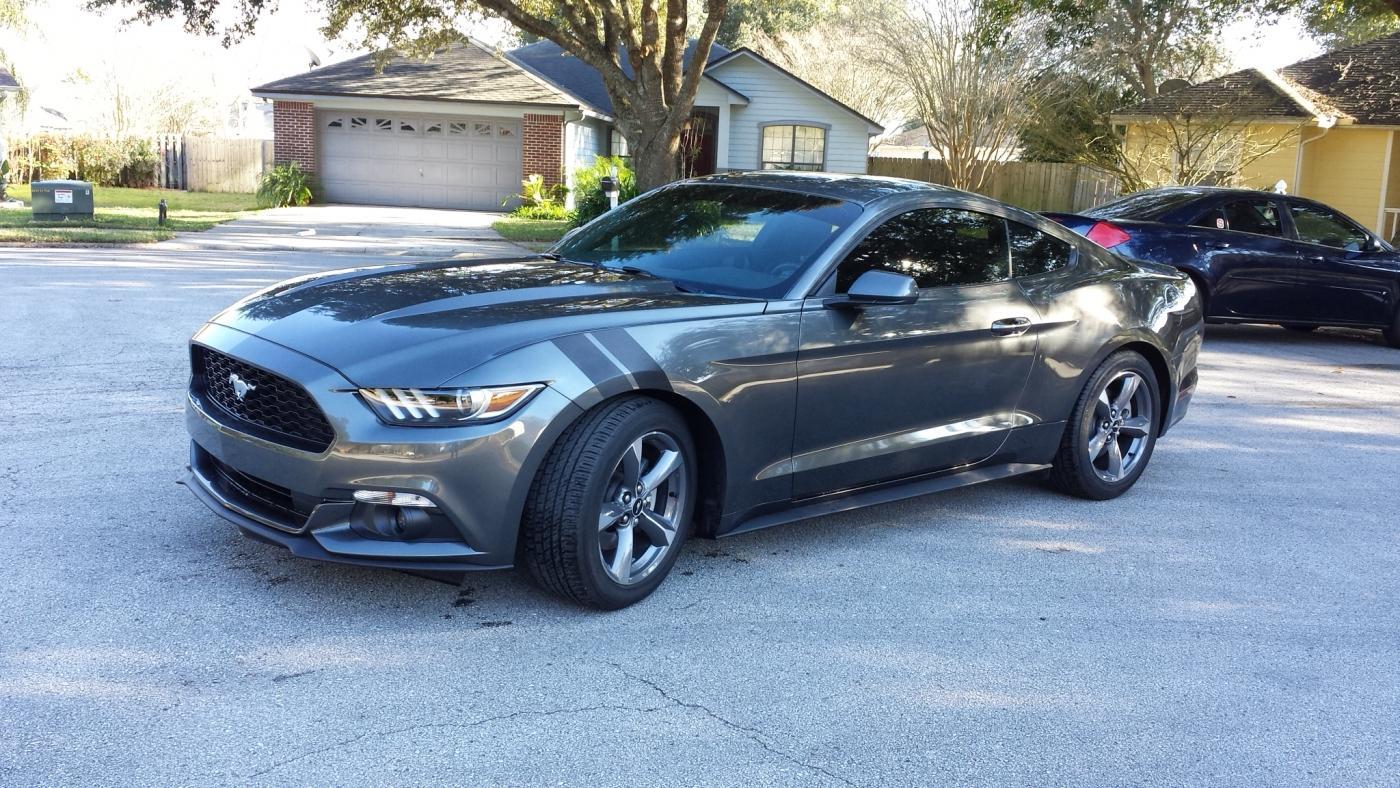 Mustang12.jpg