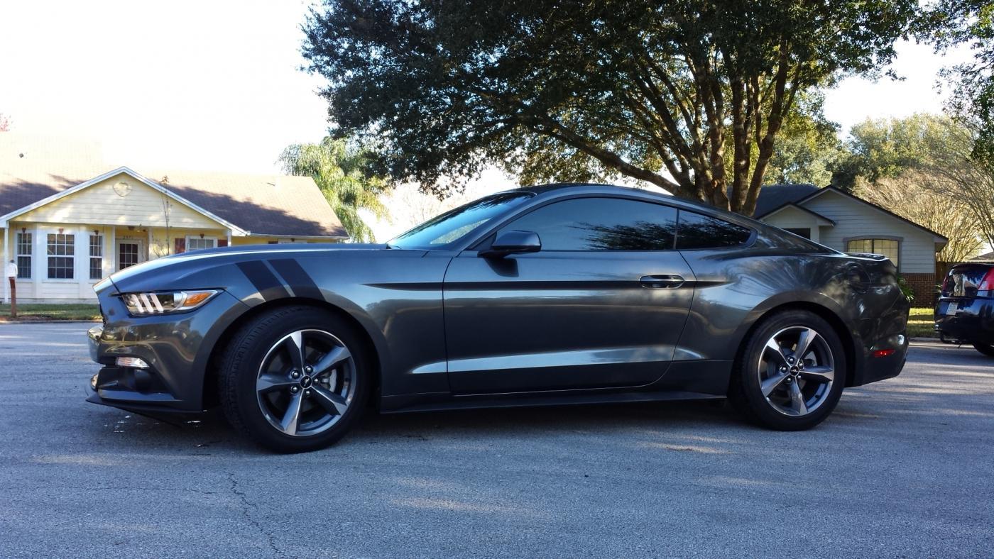 Mustang11.jpg